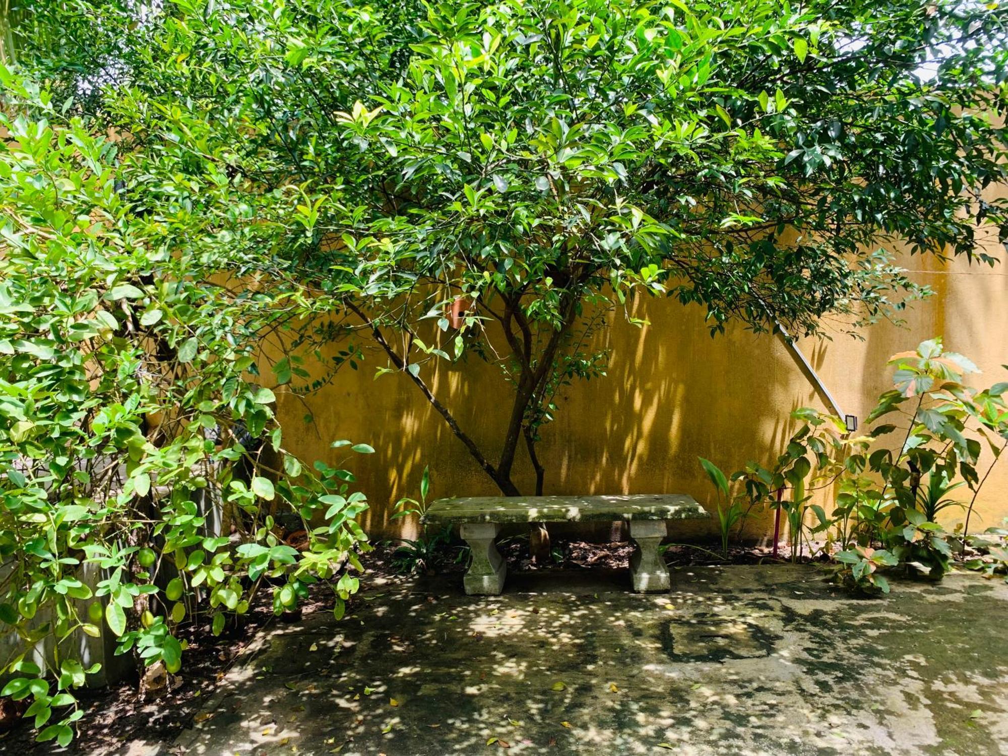 The Hostel Mirissa Exterior photo